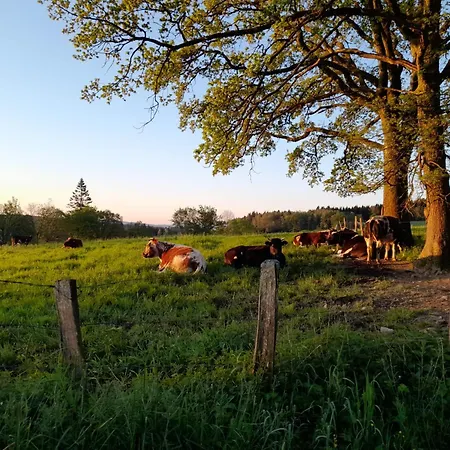 Francorchamps 8 * Stavelot