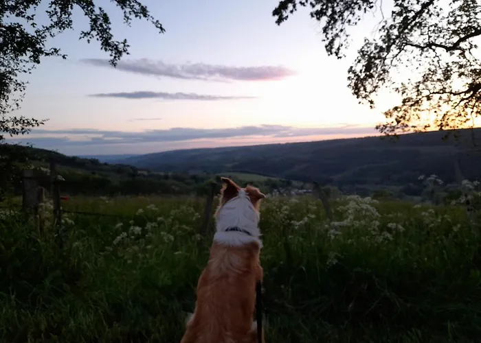 Francorchamps 8 Apartment *