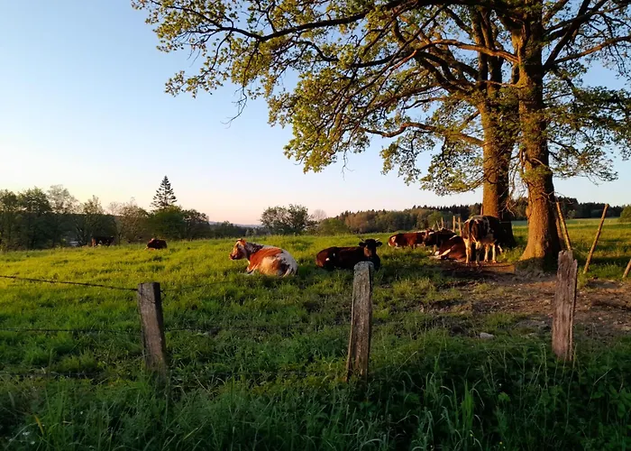 Francorchamps 8 * Stavelot